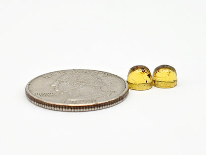 Amber cabochon pair | Artisan Cut Gemstone