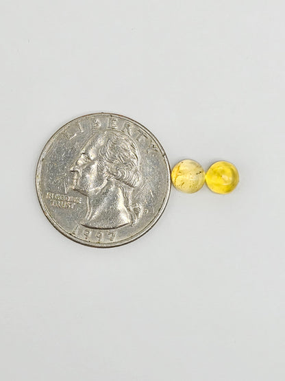 Amber cabochon pair | Artisan Cut Gemstone