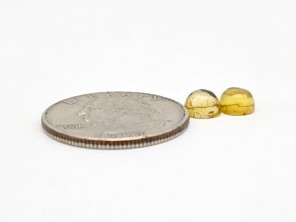 Amber cabochon pair | Artisan Cut Gemstone