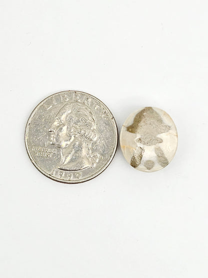 Sea Urchin (Sand Dollar) Fossil Cabochon – Mexican Echinoid