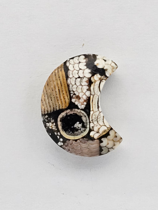 Snake skin agate moon cabochon