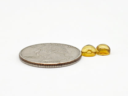 Amber cabochon pair | Artisan Cut Gemstone