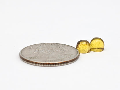 Amber cabochon pair | Artisan Cut Gemstone