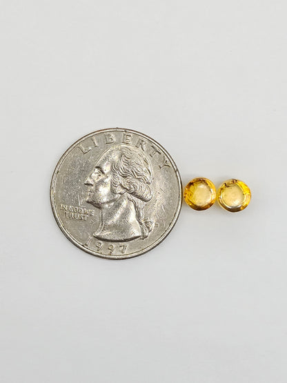 Amber cabochon pair | Artisan Cut Gemstone