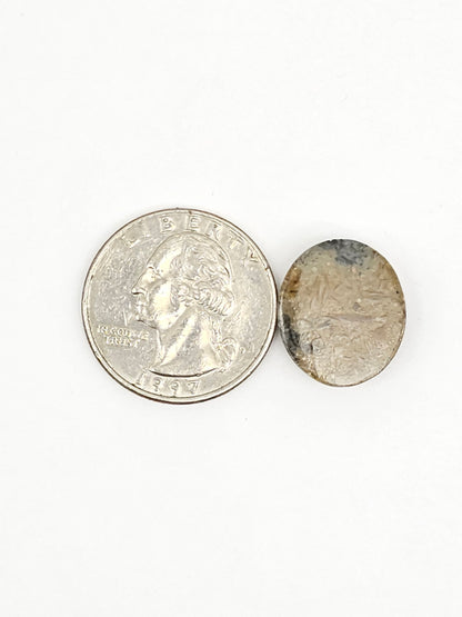 Sea Urchin (Sand Dollar) Fossil Cabochon – Mexican Echinoid