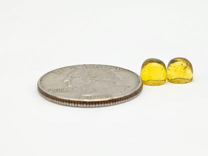 Amber cabochon pair | Artisan Cut Gemstone
