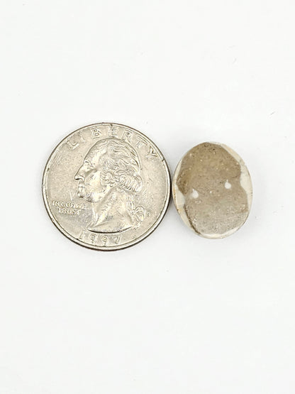 Sea Urchin (Sand Dollar) Fossil Cabochon – Mexican Echinoid