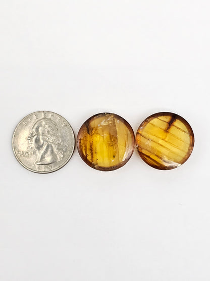 Amber cabochon pair | Artisan Cut Gemstone