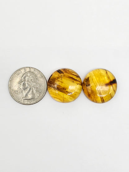 Amber cabochon pair | Artisan Cut Gemstone