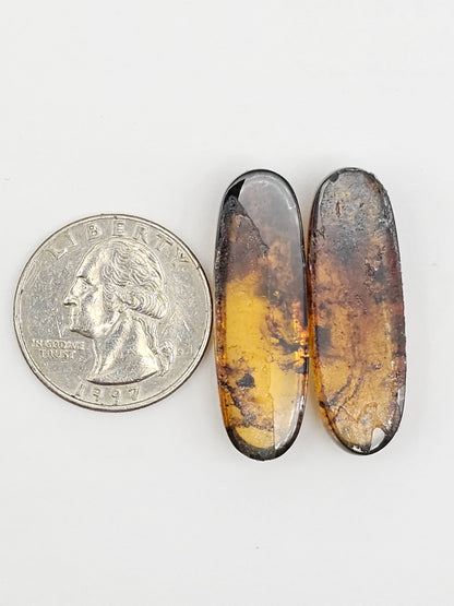 Amber cabochon pair | Artisan Cut Gemstone