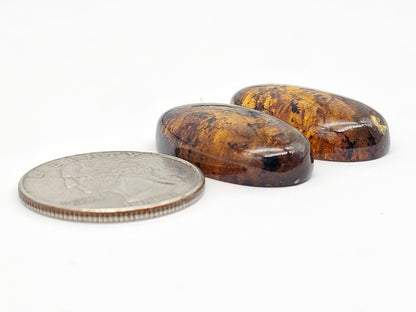 Amber cabochon pair | Artisan Cut Gemstone
