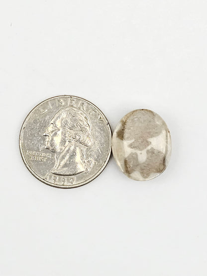 Sea Urchin (Sand Dollar) Fossil Cabochon – Mexican Echinoid