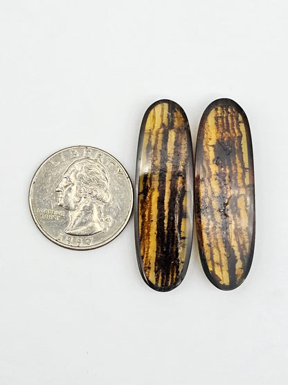 Amber cabochon pair | Artisan Cut Gemstone