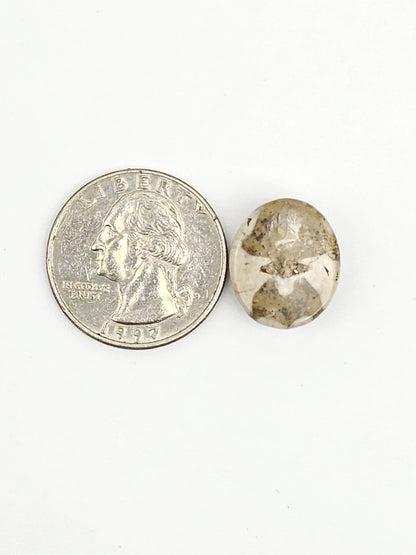 Sea Urchin (Sand Dollar) Fossil Cabochon – Mexican Echinoid