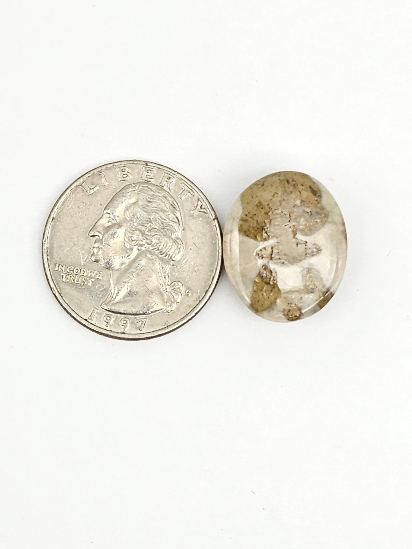 Sea Urchin (Sand Dollar) Fossil Cabochon – Mexican Echinoid