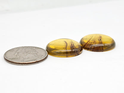 Amber cabochon pair | Artisan Cut Gemstone