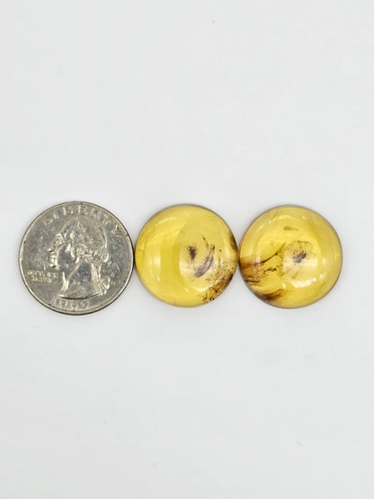 Amber cabochon pair | Artisan Cut Gemstone