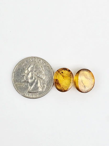 Amber cabochon pair | Artisan Cut Gemstone