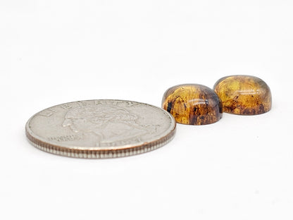 Amber cabochon pair | Artisan Cut Gemstone