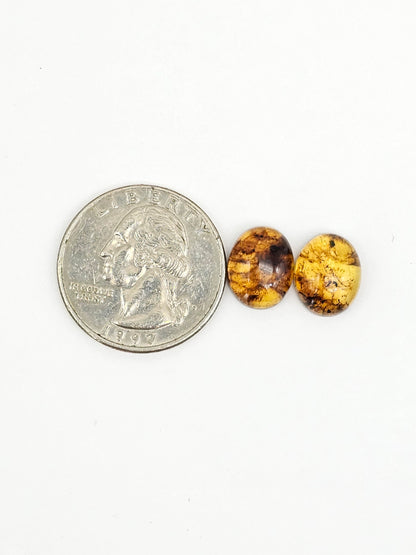 Amber cabochon pair | Artisan Cut Gemstone