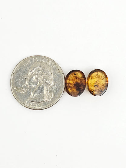 Amber cabochon pair | Artisan Cut Gemstone