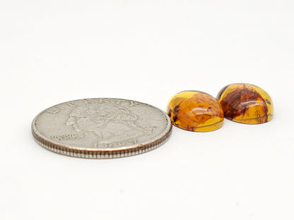 Amber cabochon pair | Artisan Cut Gemstone