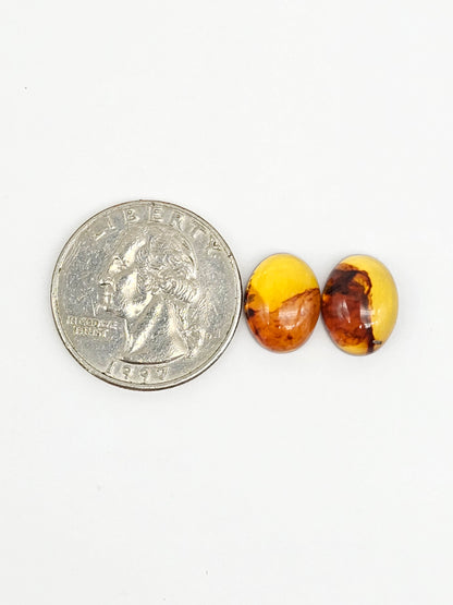 Amber cabochon pair | Artisan Cut Gemstone