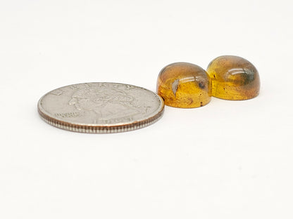 Amber cabochon pair | Artisan Cut Gemstone