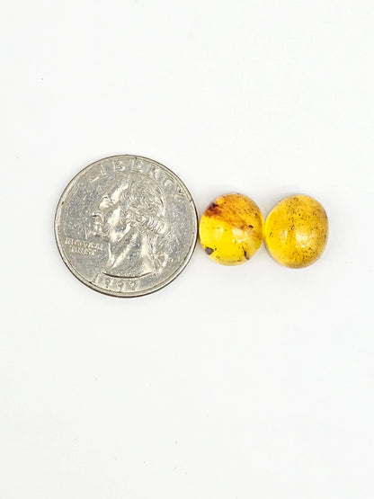 Amber cabochon pair | Artisan Cut Gemstone