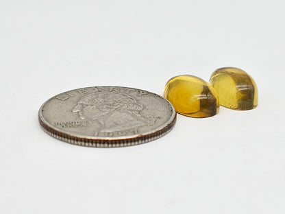 Amber cabochon pair | Artisan Cut Gemstone