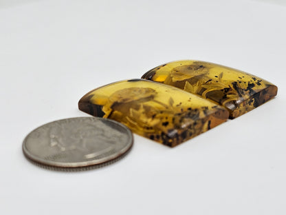 Amber Intaglio Cabochon Pair | Hand-Carved Natural Amber