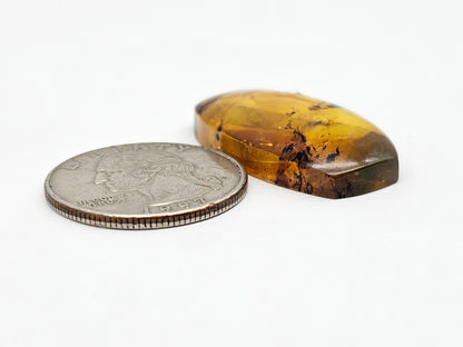 Amber cabochon | Artisan Cut Gemstone