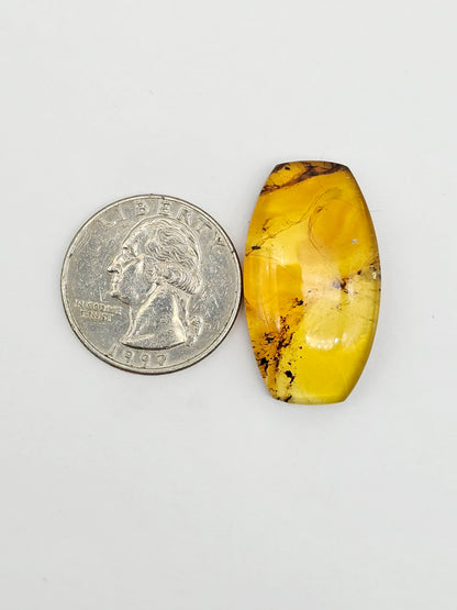 Amber cabochon | Artisan Cut Gemstone