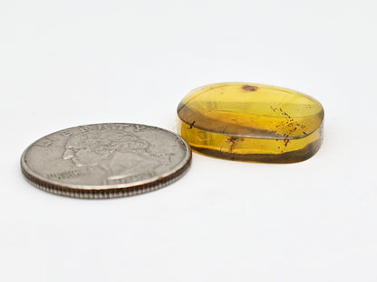 Amber cabochon | Artisan Cut Gemstone