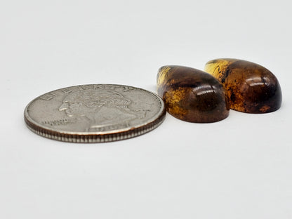 Amber cabochon pair | Artisan Cut Gemstone