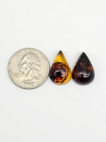 Amber cabochon pair | Artisan Cut Gemstone