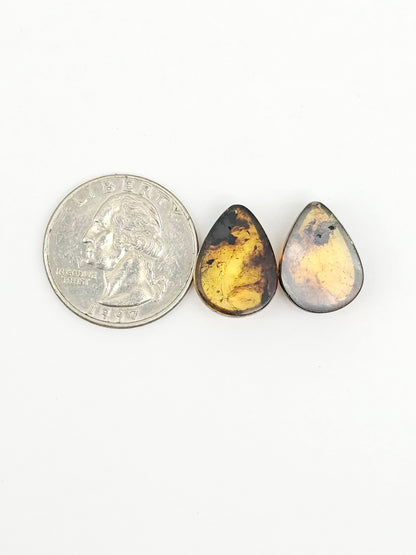Amber cabochon pair | Artisan Cut Gemstone