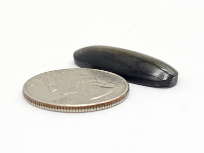 Obsidian Cabochon | Natural Mexican Obsidian for Silversmiths