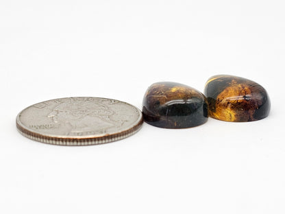 Amber cabochon pair | Artisan Cut Gemstone