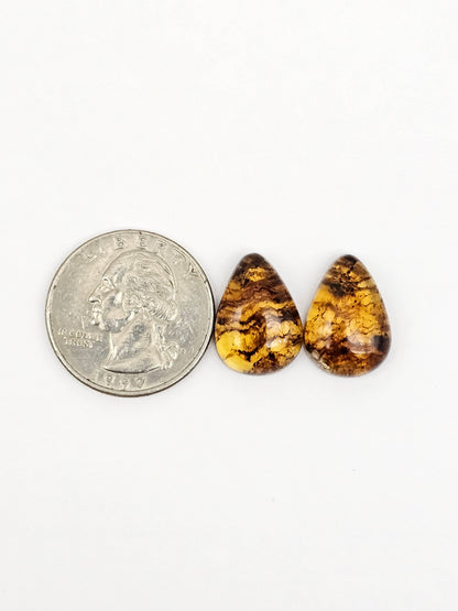 Amber cabochon pair | Artisan Cut Gemstone