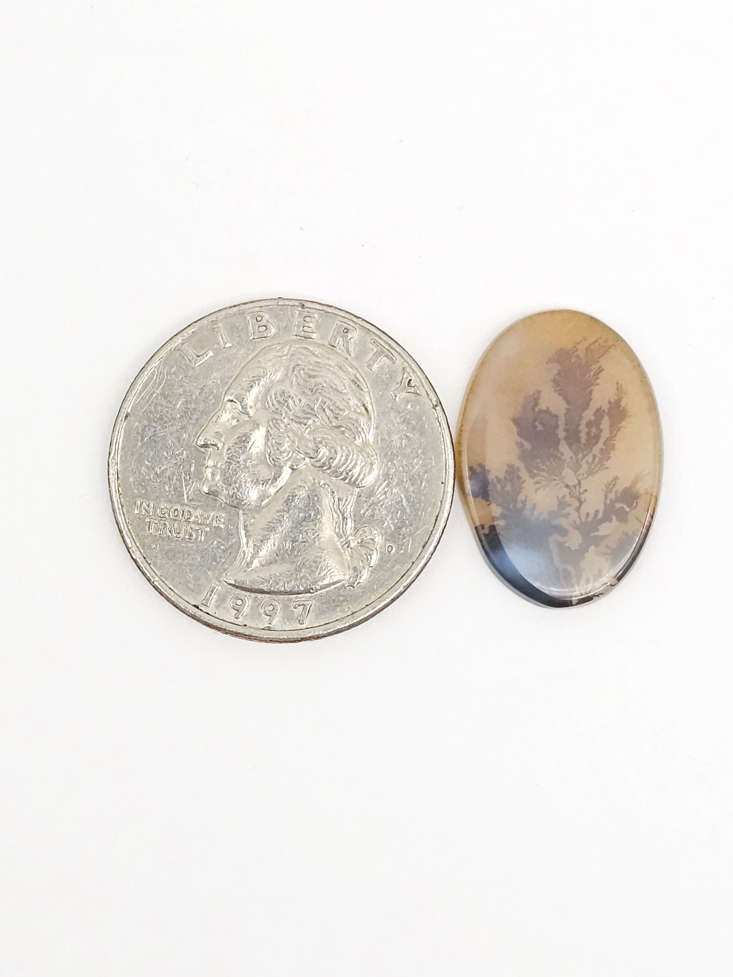 Scenic Dendritic Agate Cabochon – Natural Landscape Stone
