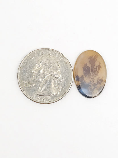 Scenic Dendritic Agate Cabochon – Natural Landscape Stone