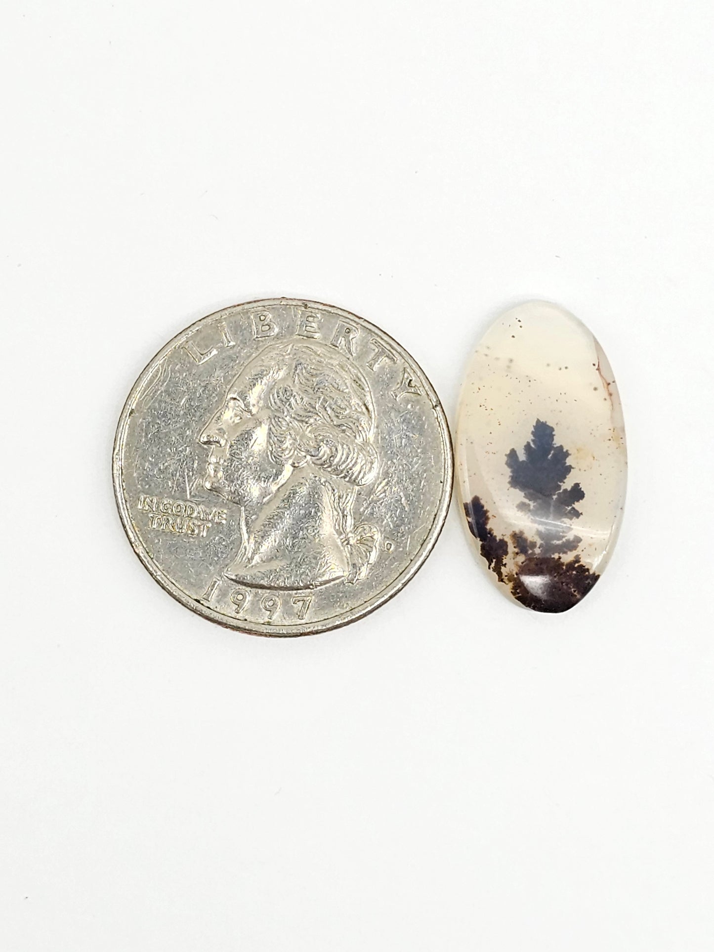 Scenic Dendritic Agate Cabochon – Natural Landscape Stone