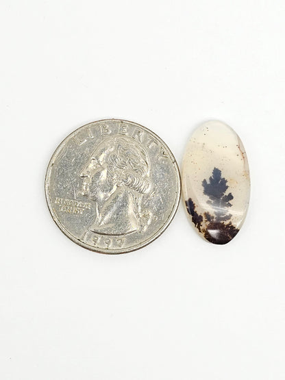 Scenic Dendritic Agate Cabochon – Natural Landscape Stone
