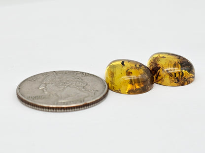 Amber cabochon pair | Artisan Cut Gemstone