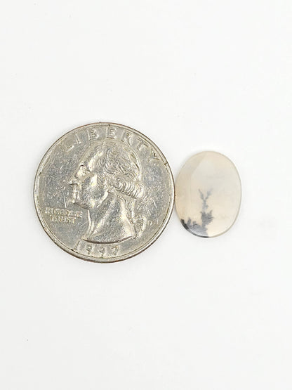 Scenic Dendritic Agate Cabochon – Natural Landscape Stone