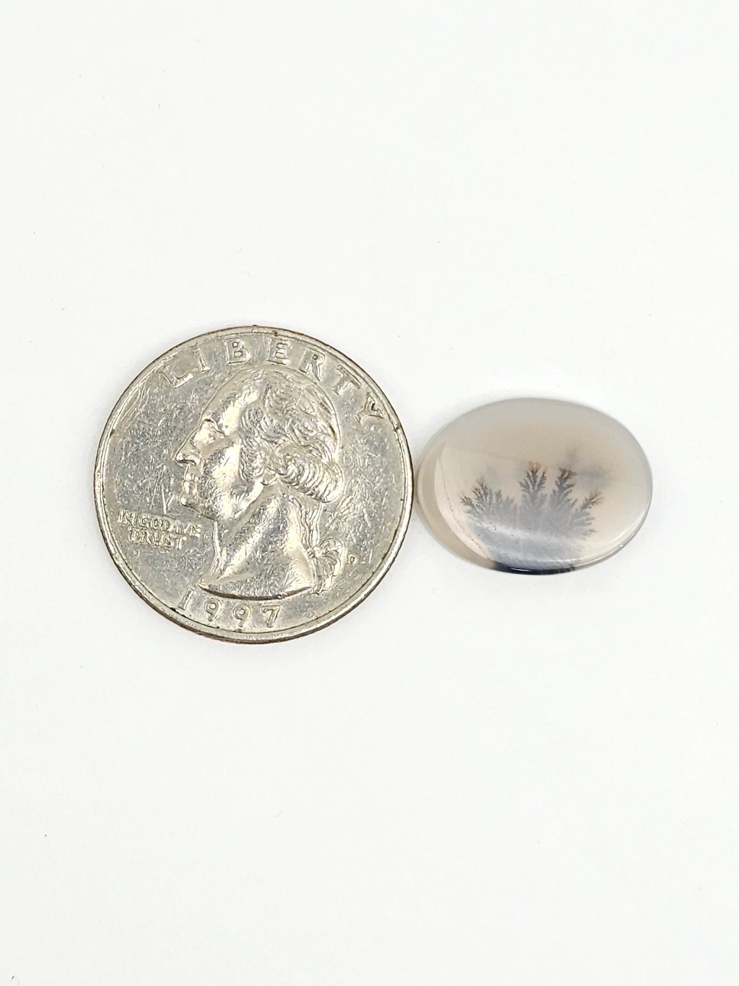 Scenic Dendritic Agate Cabochon – Natural Landscape Stone