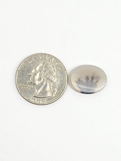 Scenic Dendritic Agate Cabochon – Natural Landscape Stone