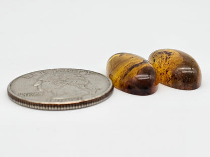 Amber cabochon pair | Artisan Cut Gemstone