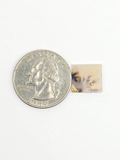 Scenic Dendritic Agate Cabochon – Natural Landscape Stone